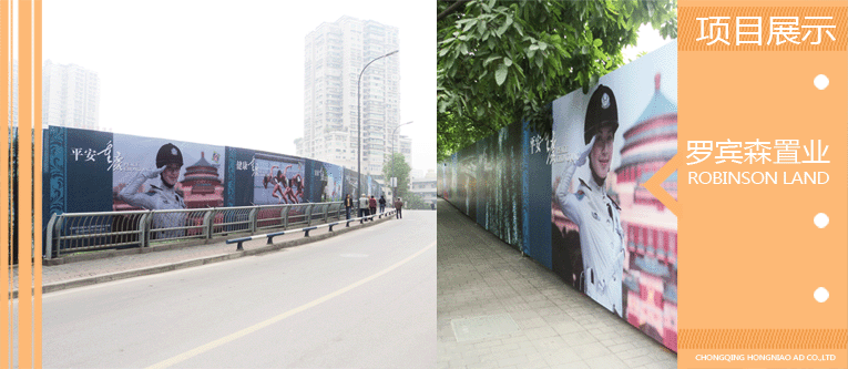 羅賓森置業(yè)天鳥廣告案例展示