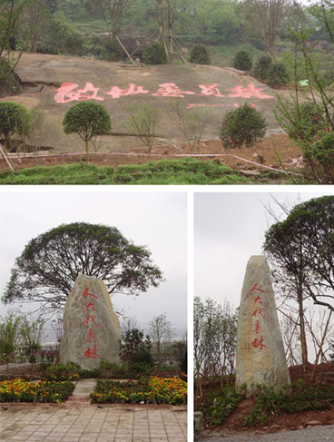 重慶渝北空港園區(qū)——景區(qū)導視